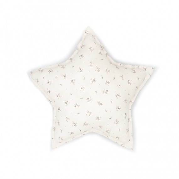 BabyShower - Coussin star...